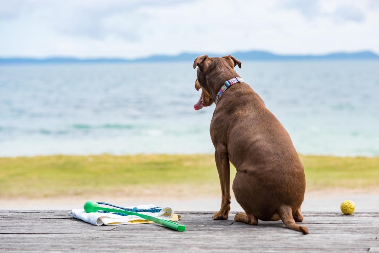 Driftwood Lodge Beachfront, Cable Bay, Northland クーパース・ビーチ エクステリア 写真