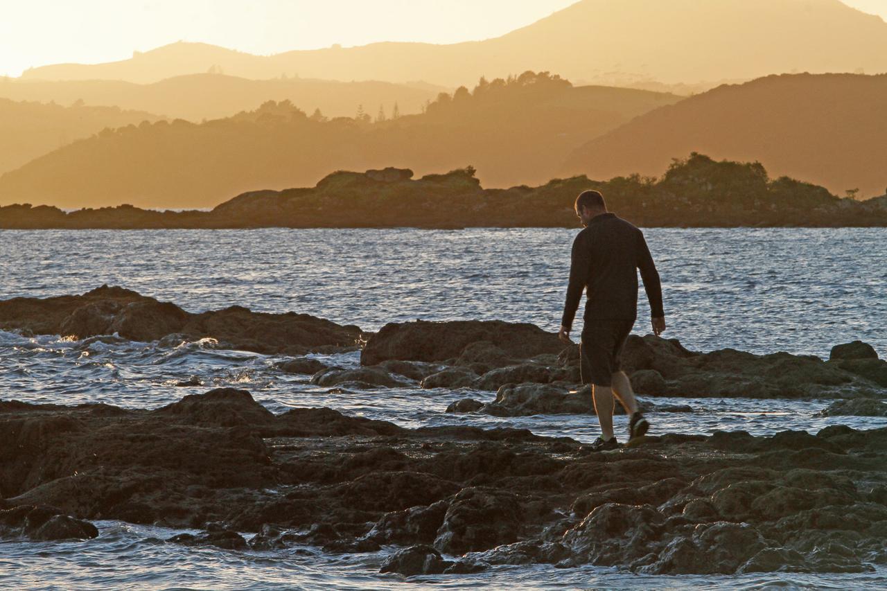 Driftwood Lodge Beachfront, Cable Bay, Northland クーパース・ビーチ エクステリア 写真