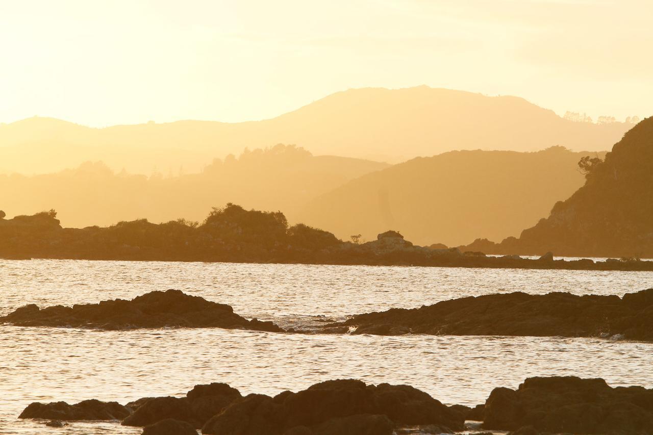 Driftwood Lodge Beachfront, Cable Bay, Northland クーパース・ビーチ エクステリア 写真